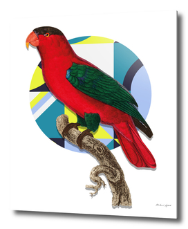 Red Green Bird Retro Futuristic Design