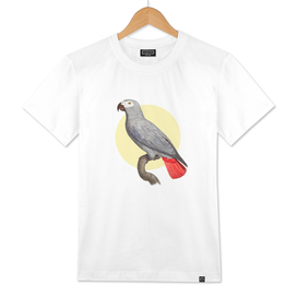 Grey Parrot Design