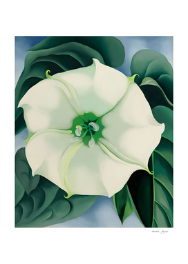 Georgia O'Keeffe - Jimson Weed-White Flower No. 1, 1932