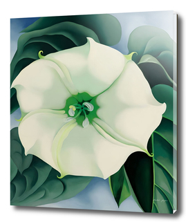 Georgia O'Keeffe - Jimson Weed-White Flower No. 1, 1932