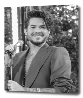 Adam Lambert American Idol Finalis
