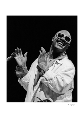Stevie Wonder On Stage Black White