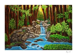 redwood forest 26x39