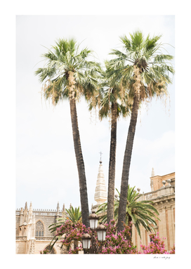 Dreamy Palms in Seville #1 #travel #wall #art
