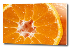 Orange tangerine macro