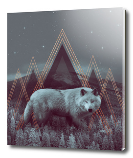 In Wildness | Wolf
