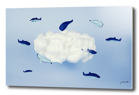 Whales around the cloud