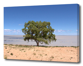 The Tree and The Outback Lake