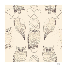 Sleek Owl Stripes