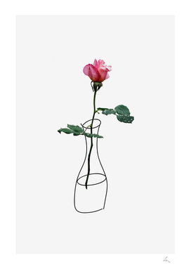 rose in the vase