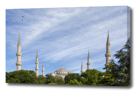 Blue Mosque Minarets