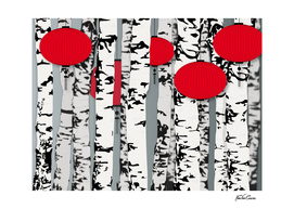 forêt de bouleaux lanternes rouges