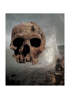 scull collage