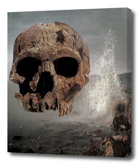 scull collage