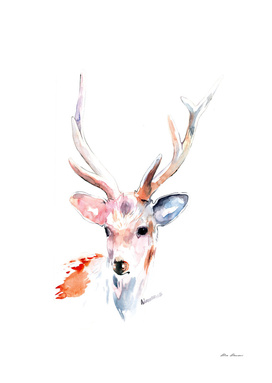 White Deer Watercolor Painting