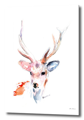 White Deer Watercolor Painting