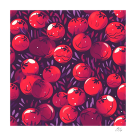 Cosmic Pomegranate Harvest