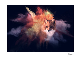 Explosive fox