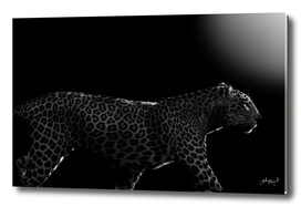 Wild ART - Leopard at dawn