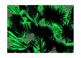 green palm leaves texture abstract background