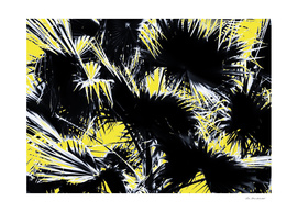 black and white palm leaves with yellow background
