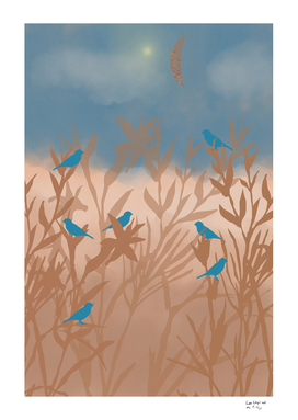 Blue birds