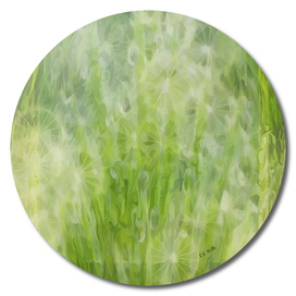 Milkweed Ephemera Dancing Amid the Grass