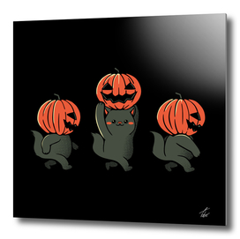 Halloween Pumpkin Cats