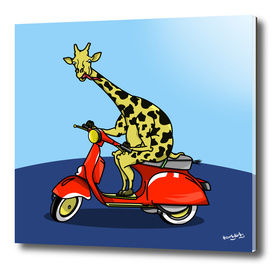 Giraffe riding a moped