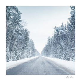 Movement on snowy road in morning