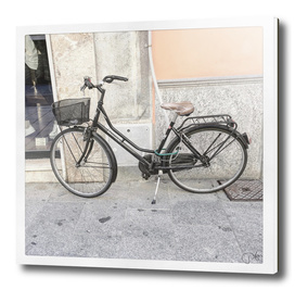 bicicletta 19