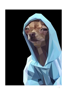 chihuahua wear hoodie meme