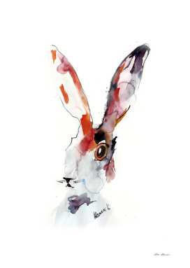 Rabbit Watercolor Painting