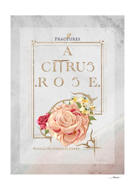 9 Fractures - A Citrus Rose - Book Cover