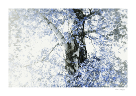 Dreamy Birch Tree #5 #wall #art