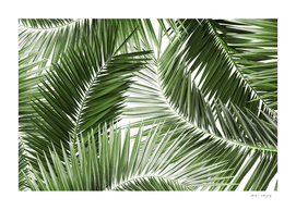 Palm Leaves Pattern Dream #4 #tropical #wall #decor #art