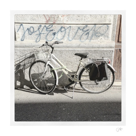 bicicletta 29