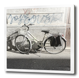 bicicletta 29