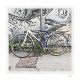 bicicletta 30