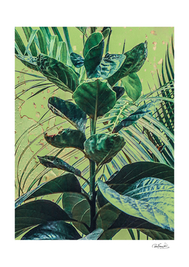 Botanical tropical motif photo art