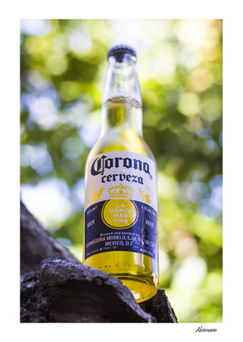 Corona's Bottle