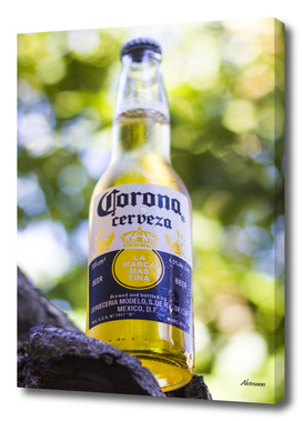 Corona's Bottle