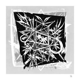 Abstract Weed