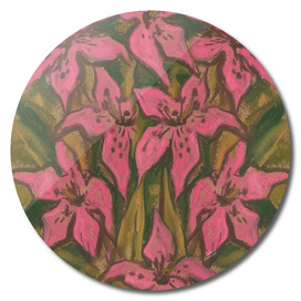 Pink Lilies, Lily Flowers Abstract Botanical Floral Painting