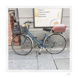 bicicletta 44