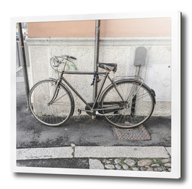 bicicletta 41