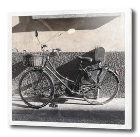 bicicletta 46