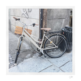 bicicletta 48