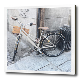 bicicletta 48