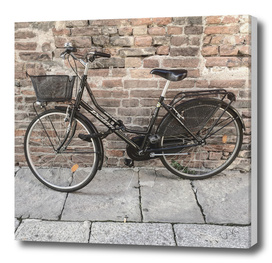 bicicletta 53
